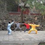 Stili di vita tai chi Martial_arts_-_Fragrant_Hills